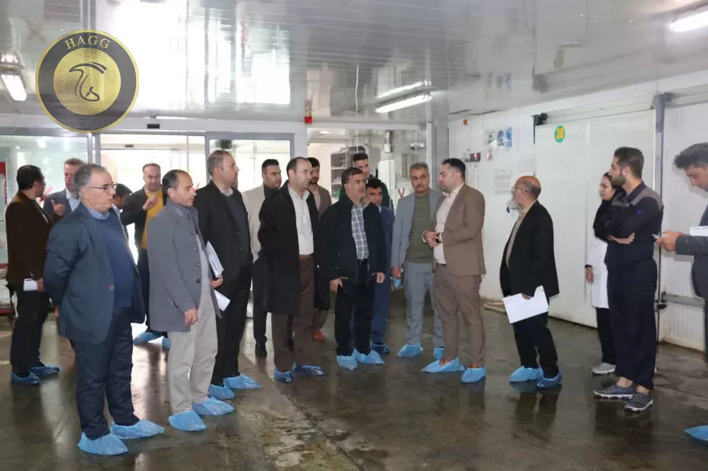 اشتغالزایی برای 600 نفر در بخش صنایع تبدیلی کارخانه قارچ اورامان سبز