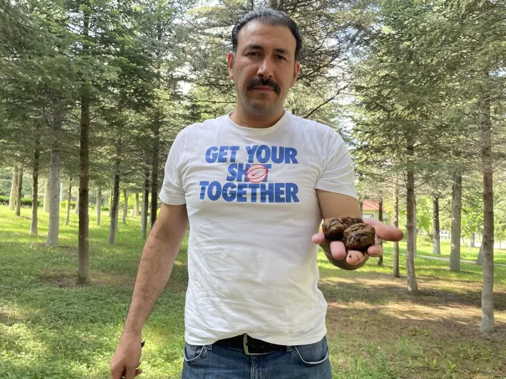 پروفسور اوغوزان کایگوسوز (Oğuzhan Kaygusuz) کاشف گونه جدید قارچ در ترکیه