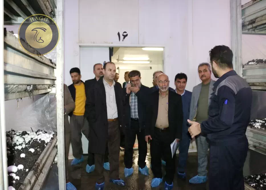 بازدید از کارخانه قارچ اورامان سبز