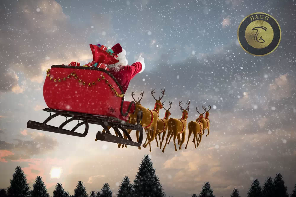 پرواز بابانوئل و سورتمه ای که با گوزن های شمالی کشیده میشود تحت تاثیر مواد روانگردان قارچ آمانیتا موسکاریا، تلقین شده است