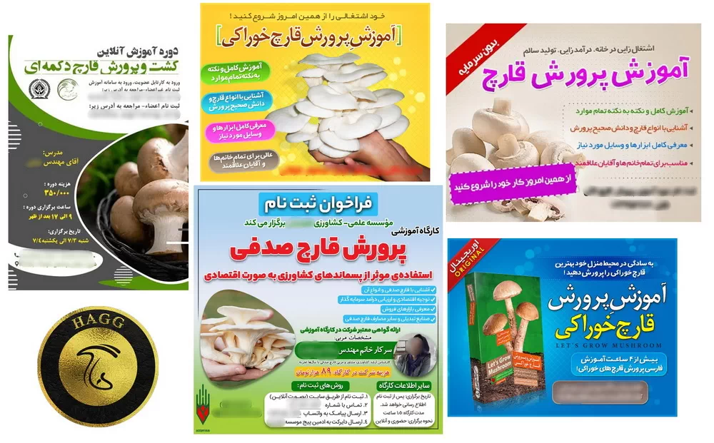 گواهی های بی اعتبار صادر شده توسط برخی موسسات آموزشی بی کیفیت