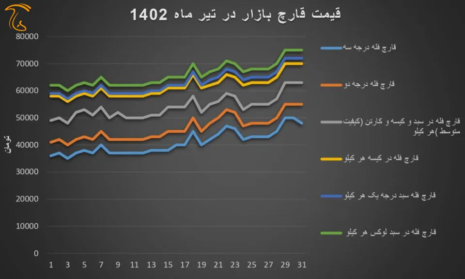 نمودار قیمت قارچ در تیر 1402