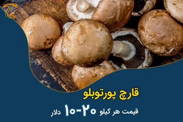 قارچ پورتوبلو