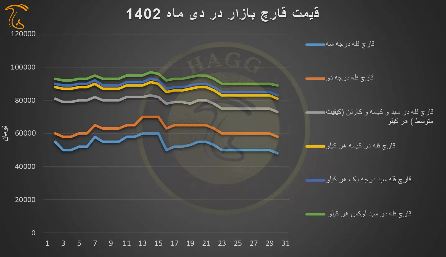 نمودار تغییرات و نوسانات قیمت قارچ در دی ماه ۱۴۰۲