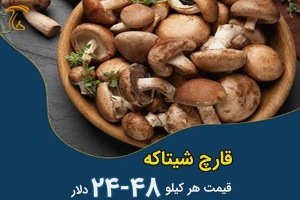 قارچ شیتاکه