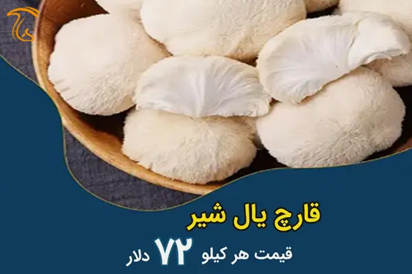 قارچ یال شیر