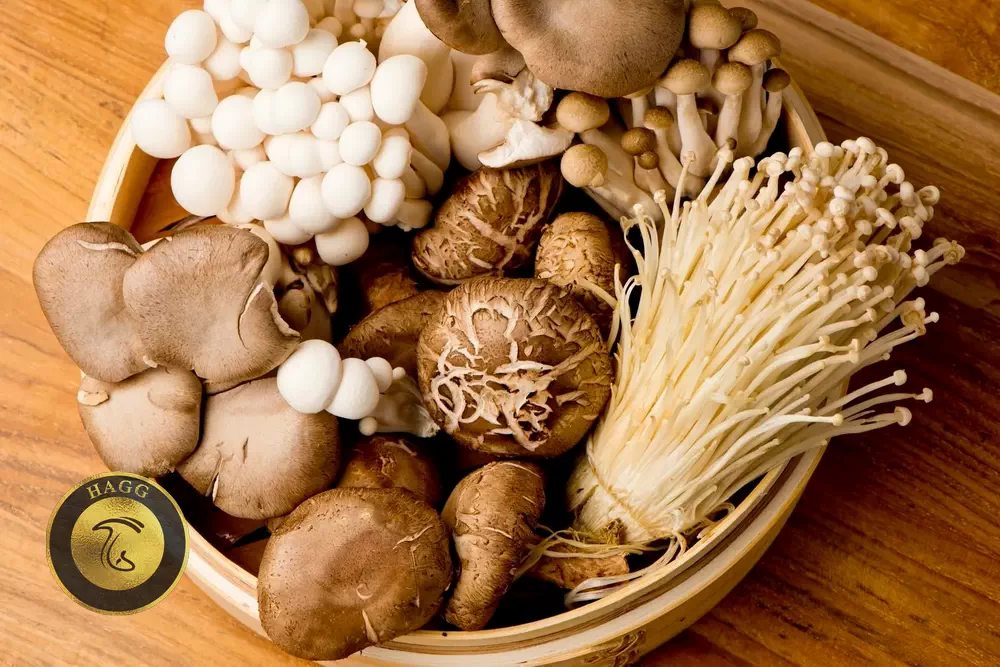 رتبه نخست کشور در تولید قارچ‌ های خاص (قارچ اگزوتیک)