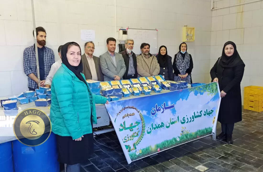 همدان رتبه دوم تولید قارچ و کمپوست استان