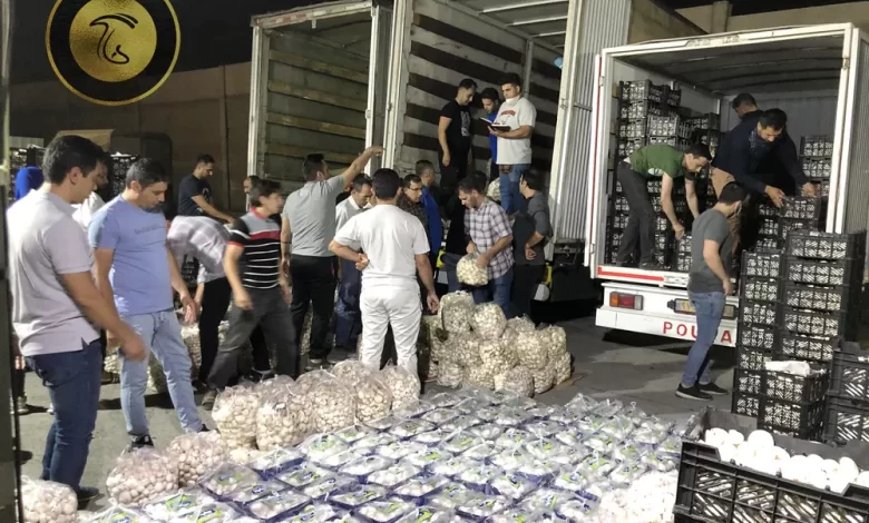 راه اندازی پایانه فروش قارچ در تهران