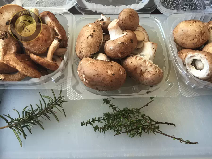 افزایش ماندگاری قارچ با آویشن و دیگر گیاهان دارویی