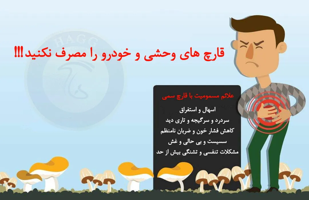 علایم قارچ های کشنده در طبیعت