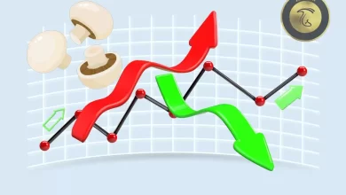 نمودار تغییرات و میانگین قیمت قارچ