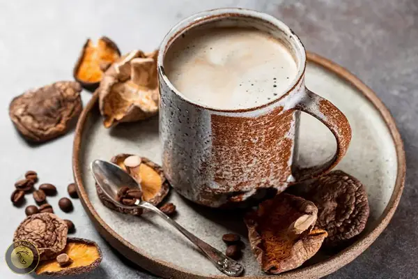 قهوه قارچ شیتاکه