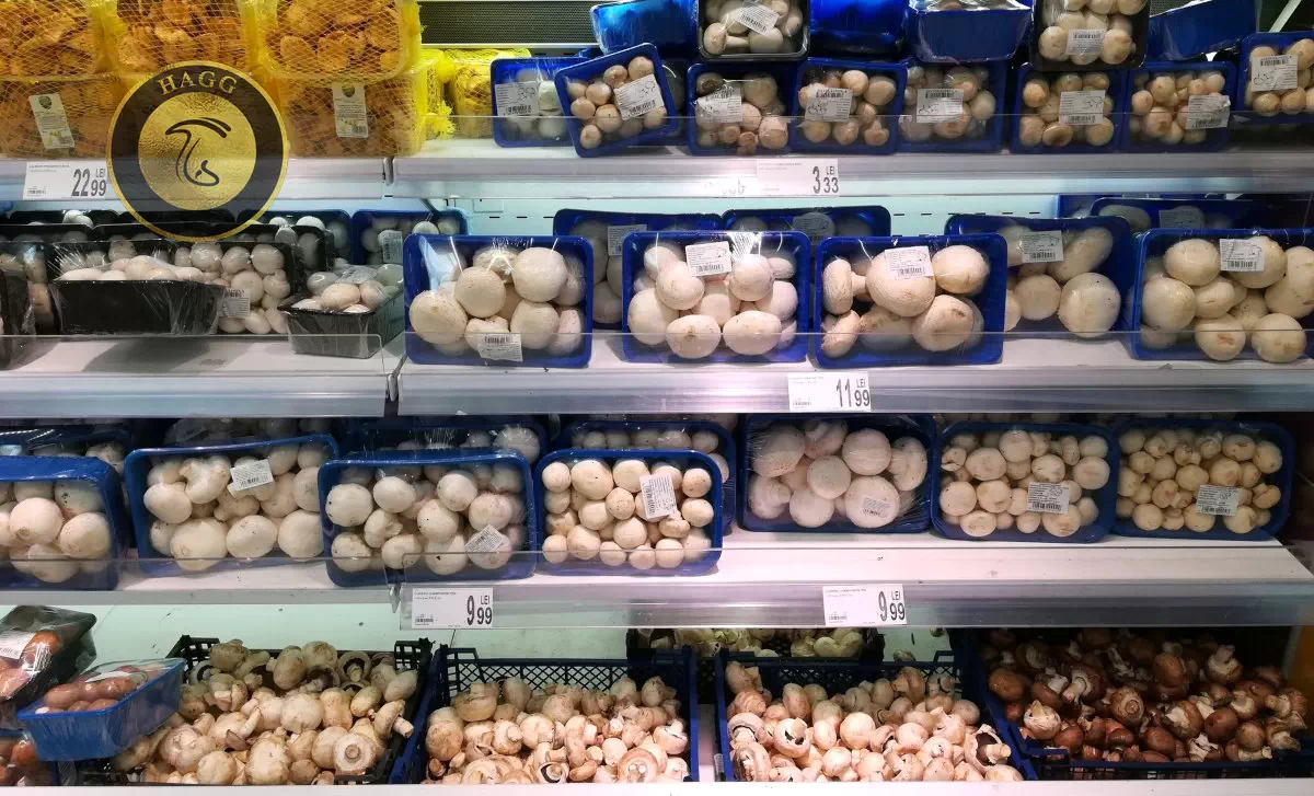 قیمت قارچ در سوپرمارکت ها