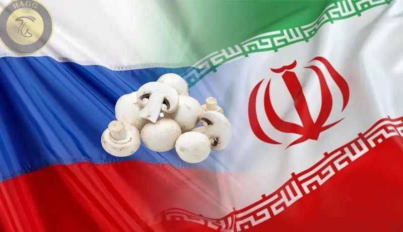 صادرات قارچ خوراکی از ایران به روسیه