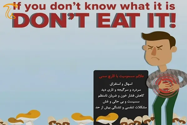 مسمومیت با قارچ های سمی