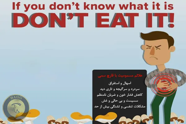 مسمومیت با قارچ های سمی