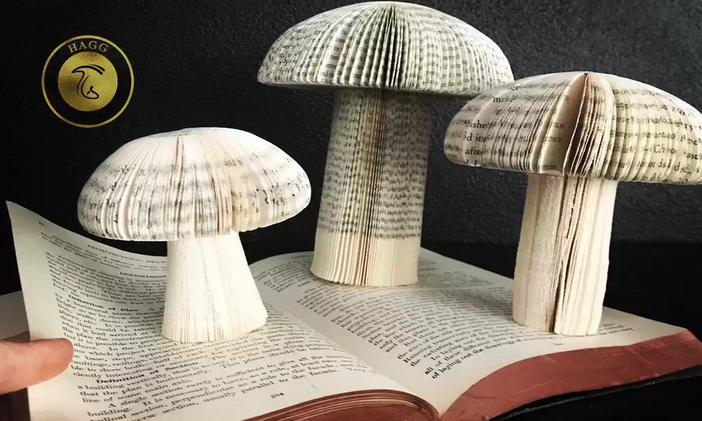برای جلوگیری از قطع درختان برای تهیه کاغذ چه کنیم؟ تولید کاغذ از قارچ برای جلوگیری از قطع درختان