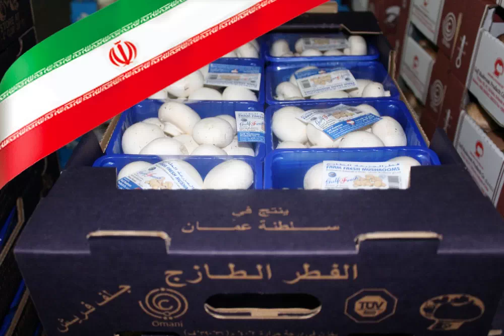 اخبار کوتاه - تولید قارچ در عمان توسط تولیدکننده قارچ ایرانی (شرکت قارچ سبلان در اردبیل)