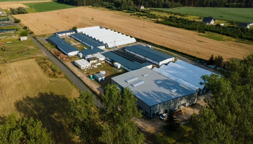 کارخانه تولید قارچ های شیتاکه QiHe Biotechnology در لهستان