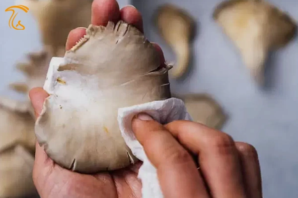 تمیز کردن قارچ صدفی با دستمال یا پارچه مرطوب یک ترفند جالب و کاربردی است.