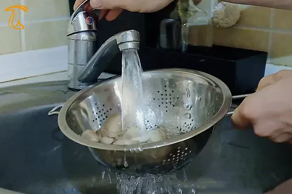 شستن قارچ صدفی با آب سرد انجام شود.