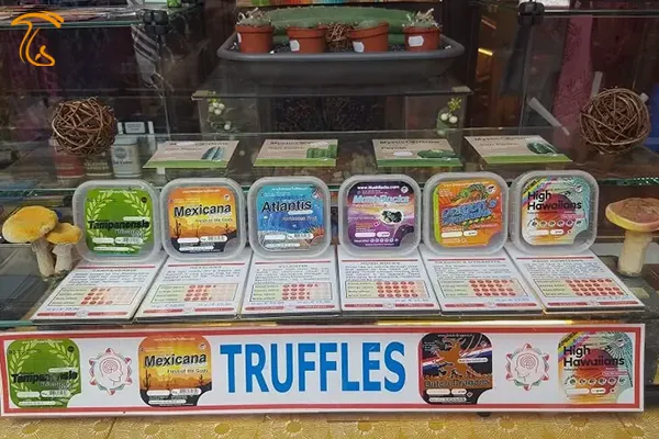 انواع مختلف ترافل جادویی