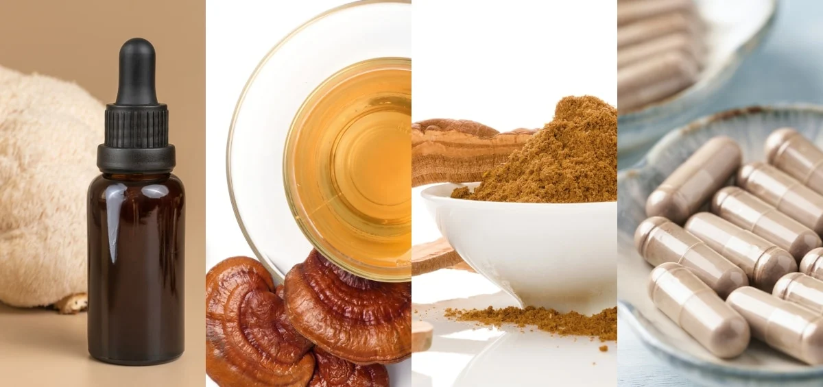 انواع روش های عصاره گیری و استخراج عصاره قارچ