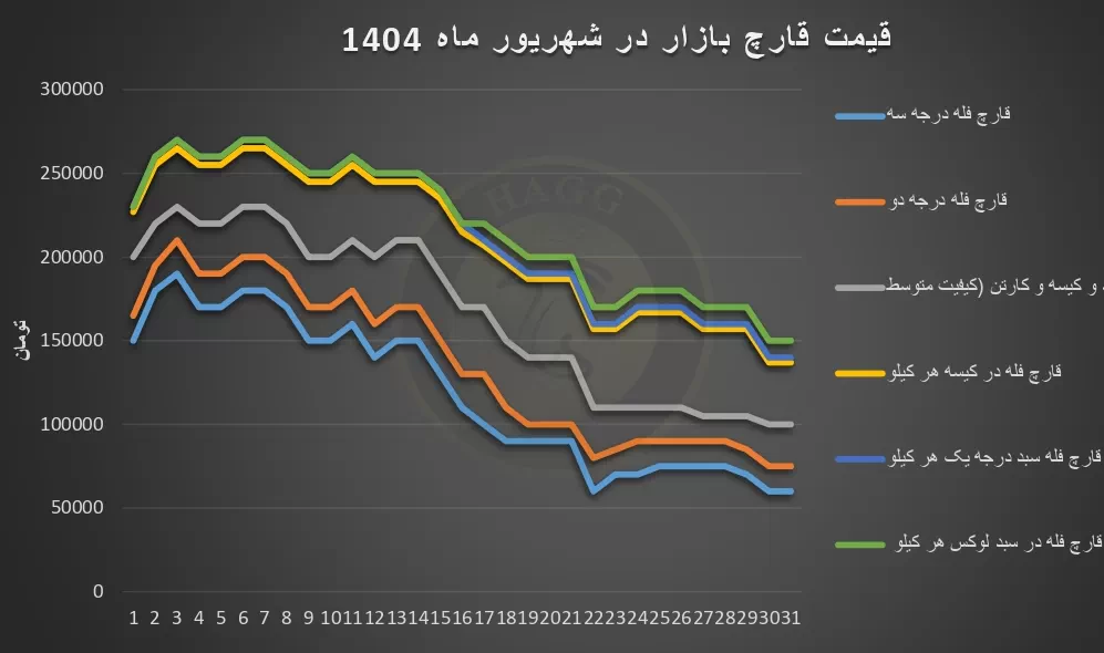 نمودار نوسانات قیمت قارچ در شهریور ماه 1404