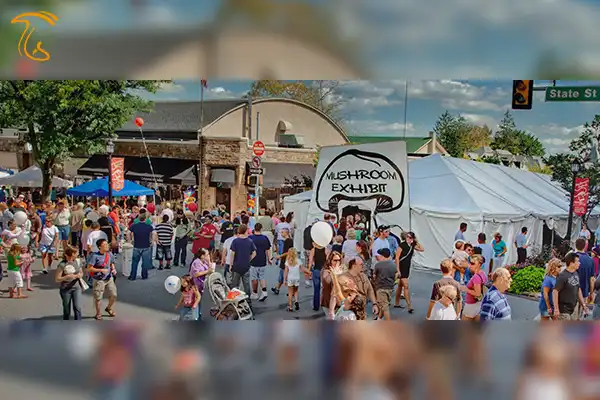 نمایشگاه قارچهای پنسیلوانیا پایتخت جهان