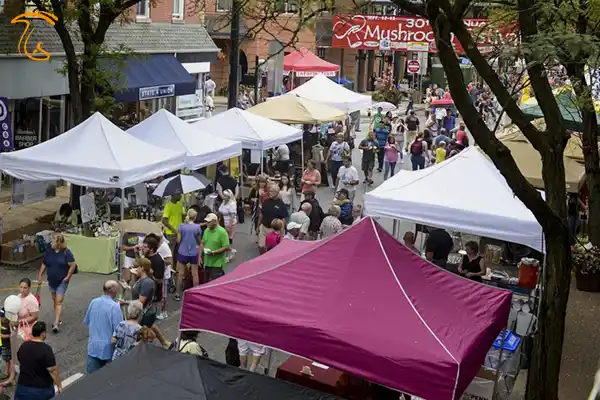 جشنواره قارچ 2022