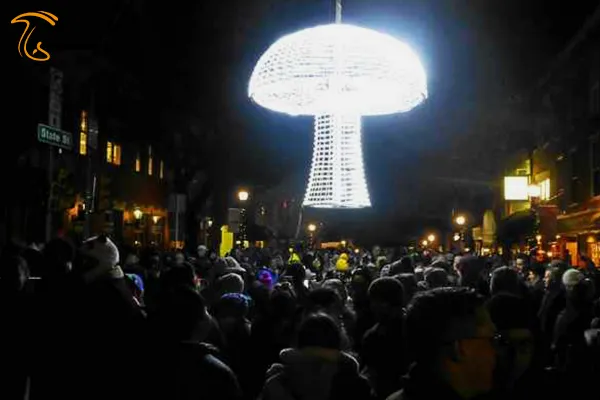 برگزاری جشن ها و فستیوال های مختلف در ماه ملی قارچ