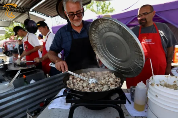 جشنواره قارچ میدان کنت