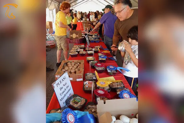 بازدیدکنندگان نمایشگاه در پنسیلوانیا