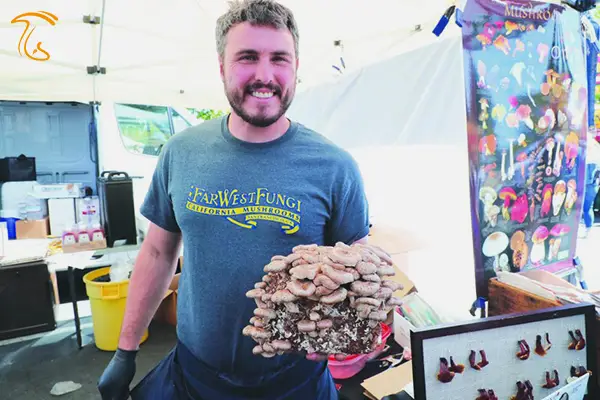 قارچ‌های وحشی در کنار قارچ‌های خوراکی در پایتخت قارچ جهان