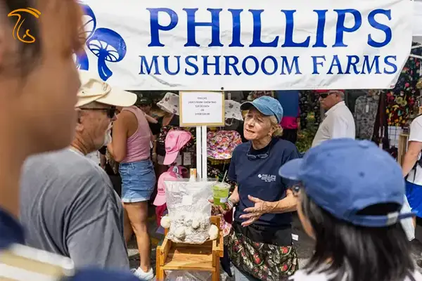 جشنواره در شهر چستر پایتخت قارچ جهان