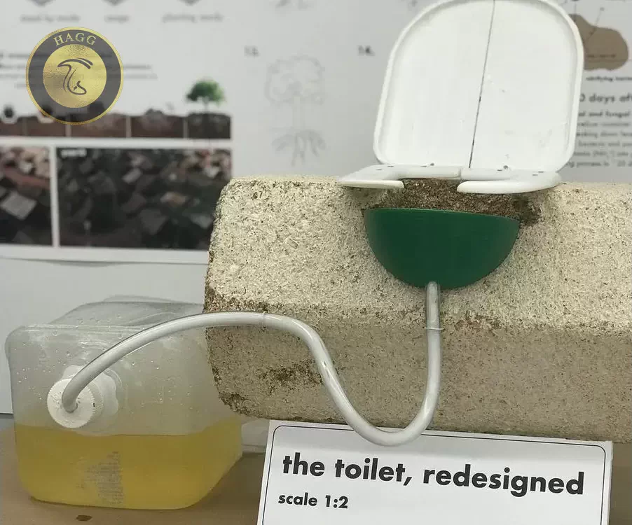 نمونه اولیه MycoToilet در مقیاس کوچک برای شرکت در رویداد علمی BioDesign سال 2018