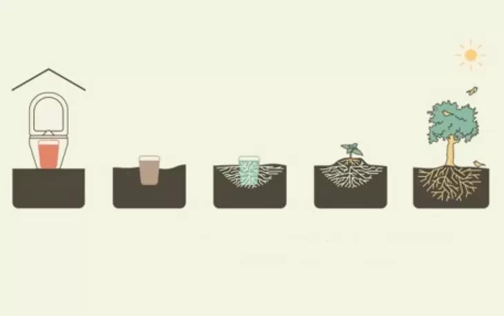 فواید مایکو توالت برای طبیعت