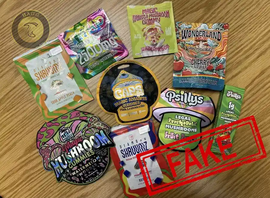 اغلب خوراکی های قارچ جادویی فاقد سیلوسایبین هستند