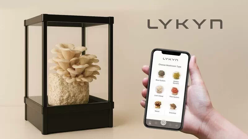 نرم افزار موبایل متصل به محفظه هوشمند کشت قارچ خانگی lykyn
