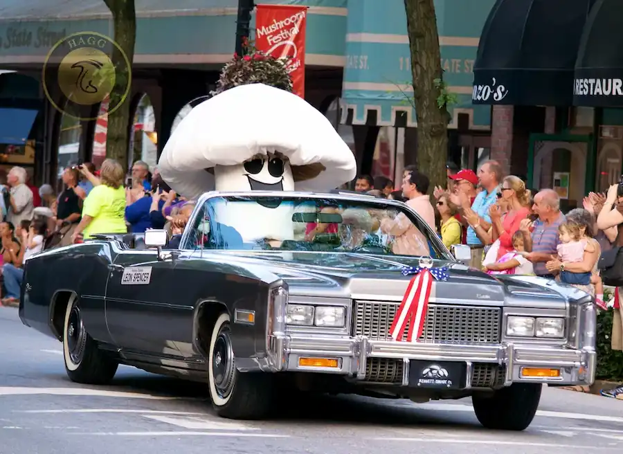 سپتامبر ماه ملی قارچ در ایالات متحده است