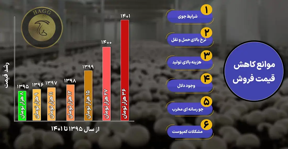 میانگین قیمت‌قارچ در سال‌های مختلف و دلایل عدم کاهش بهای آن