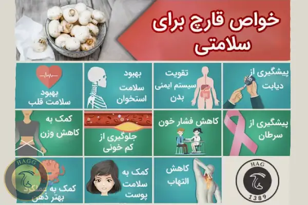 مزایای قارچ برای سلامت بدن