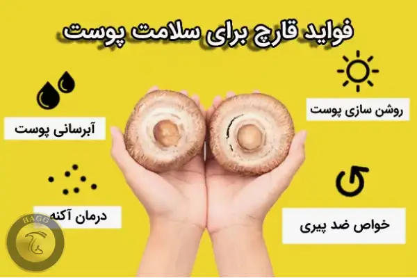 خواص قارچ برای سلامت پوست