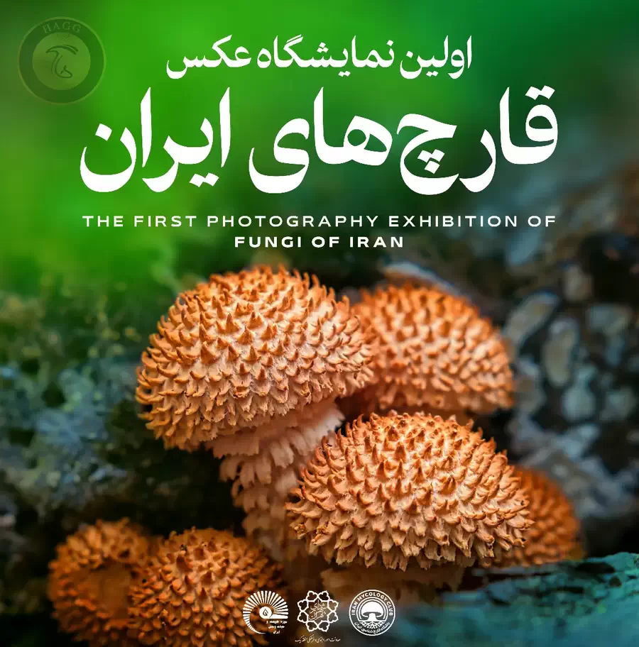 اولین نمایشگاه عکس قارچ های ایران