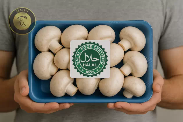 گواهی نشان استاندارد حلال برای مواد خوراکی