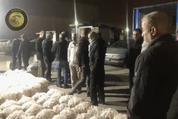 مرکز توزیع عمده قارچ مهرآباد