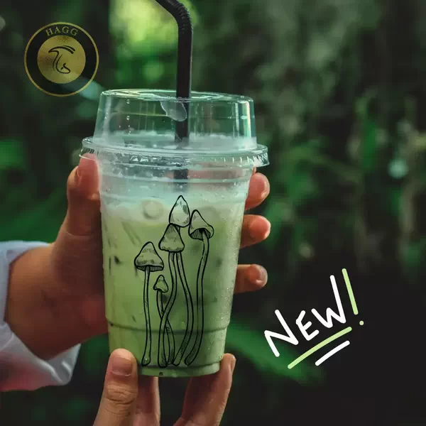 نوشیدنی ماچای قارچ، ترند جدید در جهان