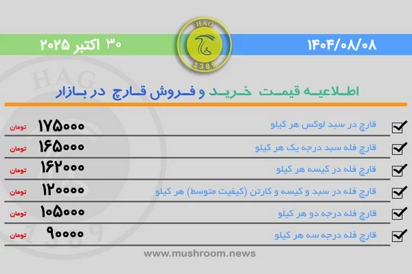 قیمت قارچ خوراکی فله در بورس قارچ تهران 08 آبان 1404