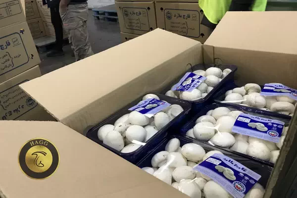 تعیین نرخ فروش قارچ توسط انجمن صنفی